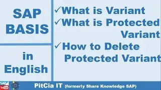 How to Delete Protected Variant in SAP HANA, What is Variant, Which Table Variant Store - English