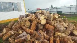Привёз себе работу для здоровья.