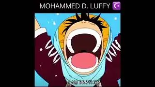 luffy ka bichada hua bhai milgaya
