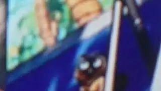 THERE IS GOING TO BE A CAT PET IN FORTNITE(NEW)