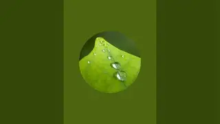 shomophoto is live!