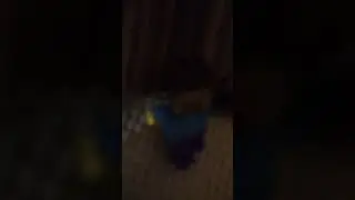 когда с другом идёшь погулять и твой друг не понимает где ты находишься #memes #lego #лего
