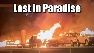 Lost in Paradise & caught in the middle