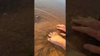 Dangerous beach...