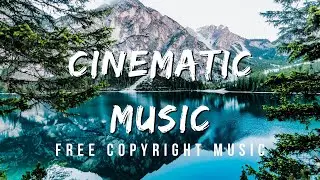 Free Copyright Music | RFM - NCM | No Copyright | Falling Rain - Myuu | Cinematic Music 🎧▶