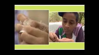 Biology Activities for Kids | Hindi