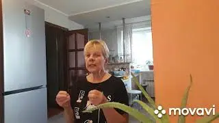 WE LIVE IN A VILLAGE/ BELARUS. Why haven't I watched these videos before! ILLUMINATION.
