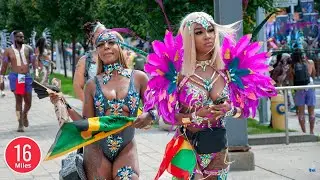 Toronto's Streets Come Alive with the Rhythms of the Caribbean Festival 2023