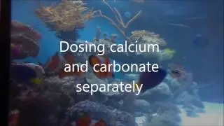 Dosing calcium and carbonate separately (a video to help Klemmetsmo reefing)