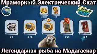 Новая Легендарная рыба - МРАМОРНЫЙ ЭЛЕКТРИЧЕСКИЙ СКАТ / Мадагаскар /Fishing Clash: Реальная рыбалка