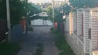 Рождение человечествА. Начало.