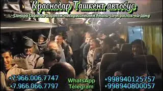 #краснодар-#ташкент автобус воронеж-самара Саратов Волгоград анапа-геленджик новороссийск-сочи