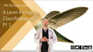 Classification Part 1 - A Level Biology