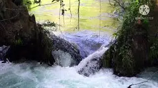 10 Minutes MEDITATION MUSIC with BEAUTIFUL NATURE’S CREATION Video