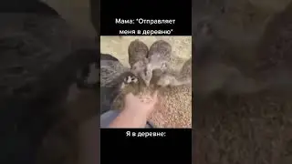 тупой ещё тупей