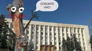 Симферополь готов защитить деревья на территориях благоустройства #проект #горсовет #симферополь