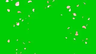 Falling cherry blossom petals || Green screen transition flowers|CHERRY BLOSSOMS GREEN SCREEN EFFECT