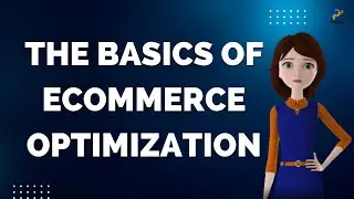 The Basics Of Ecommerce Optimization  |  Profitiya