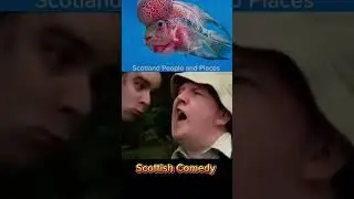 Comedy Gold “Mon The Fish“