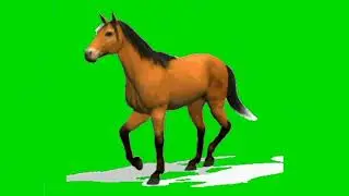 3d horse and tiger attack green screen effect for chromakey