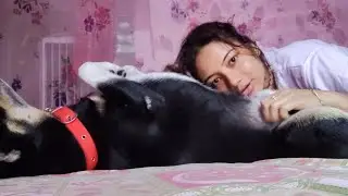 My Dog ​​Is Having Fun Waking Up In The Morning He Is Very Happy To Get A Massage In The Morning