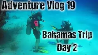 Sign language scuba proposal with sharks!