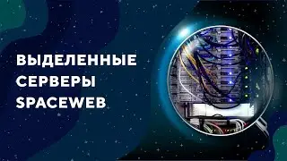 Выделенные серверы SpaceWeb: IT-инфраструктура для решения ваших бизнес-задач