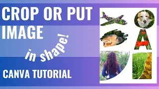 How to Crop a picture or image in shape using Canva? How to put an image in shape in Canva? 
