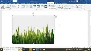 How to insert pictures in Word without moving the text