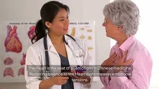 Happy Hearts Chinese Herbs for Cardiovascular Health