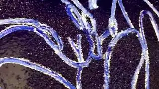 Hunt Slonem's TANZANITE, 2019