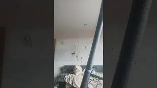 26 июля 2024 г.