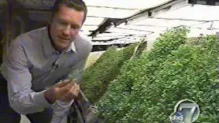 Aeroponic Systems uses NASA aeroponics to grow food