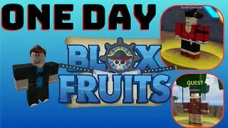 A Day In The Life Of A MAX LEVEL Blox Fruit Player