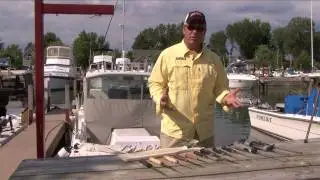 Choosing the Right Knife for Filleting Fish