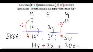 НИШ. БИЛ. РФМШ дайындық. Қатынас