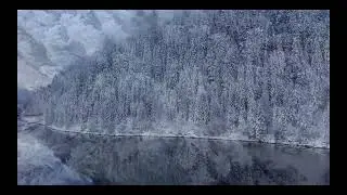 777777777777.mov