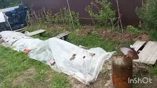 ЯРОСЛАВЛЬ МАЙ ХОЛОДНО видео от 6 мая