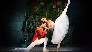 Notenkraker   Charkov City Ballet TheaterReserveringen