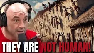 JRE :People Of This Tribe Violate All Laws Of Physics!