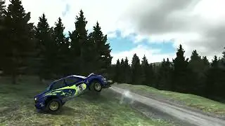 average day in DiRT Rally