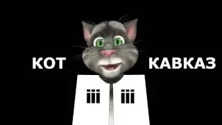 Кот Кавказ   Три в одном 20