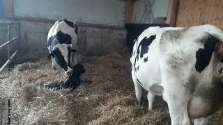 Касе орзу  дорад  насибаш кунад.