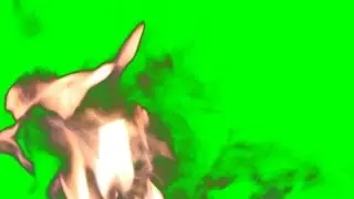 Real Fire Green Screen 1080p 60fps