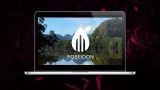 Poseidon # Обзор Проекта