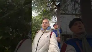 История о том, как я сходила в ботанический сад в Питере✨🪴  #питер #видеовлог #ботаническийсад