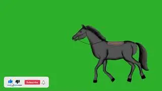 Full HD horse on green screen cartoon walking on green screen free