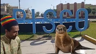 Conoce Pisco, Perú. esta ciudad que tiene 3000 años de antiguedad se llama igual que la bebida Pisco