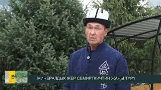 Минералдык жер семирткичтин жаны туру
