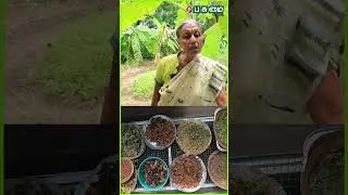 சோலார் அடுப்பு :  Gas செலவும் மிச்சம்... EB செலவும் மிச்சம்  | santha sheela nair